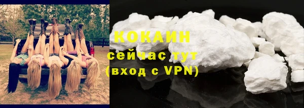 тгк Ладушкин