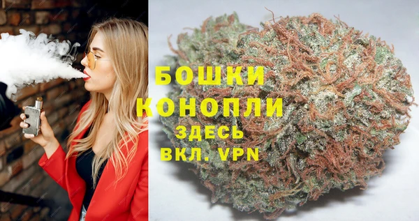 spice Лиски
