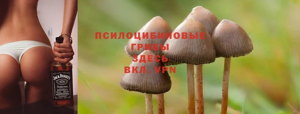 spice Лиски