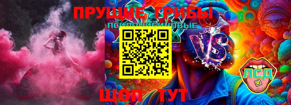 Галлюциногенные грибы Psilocybe Череповец