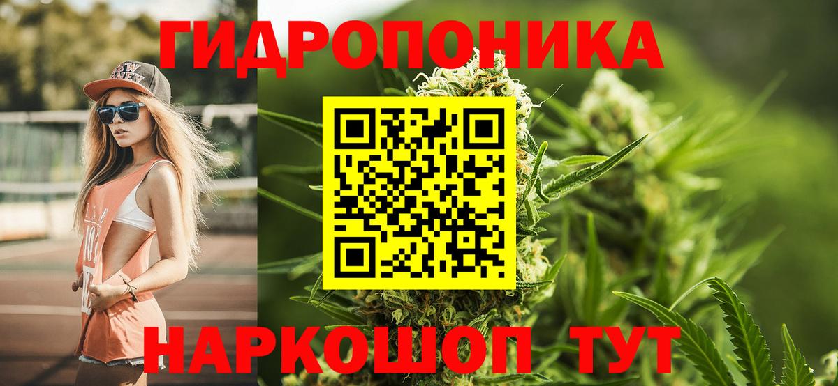 Шишки марихуана сатива  Марихуана марихуана  Череповец  Конопля индика  Вход с VPN 